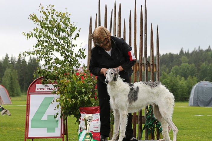 BIS-pentu 4 Betjanova Aleksei Karamelka om Ritva ja Pekka Pakkanen